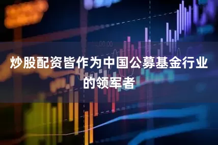 炒股配资皆作为中国公募基金行业的领军者